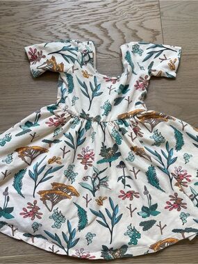 Alice and Ames dress 4T